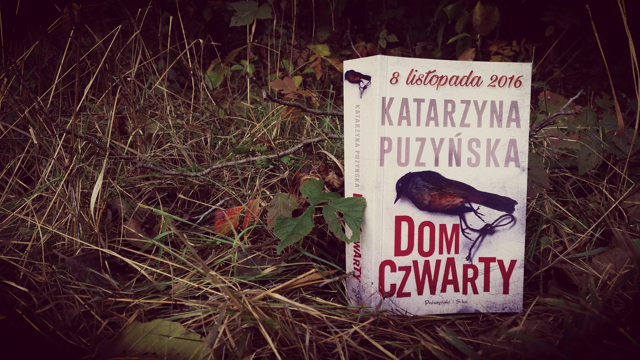 Najnowszy kryminał Katarzyny Puzyńskiej – Dom czwarty