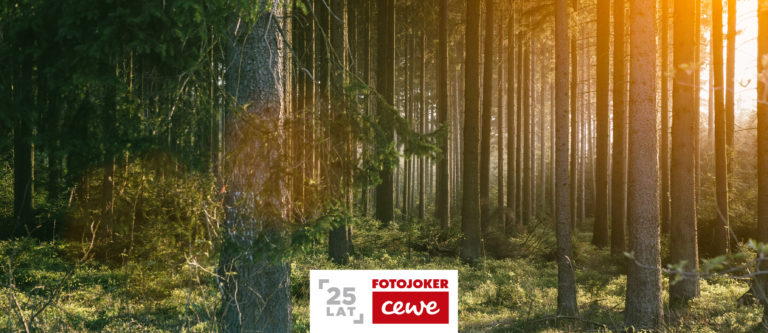 Zachowaj wyjątkowe wspomnienia i zostań patronem drzewa!