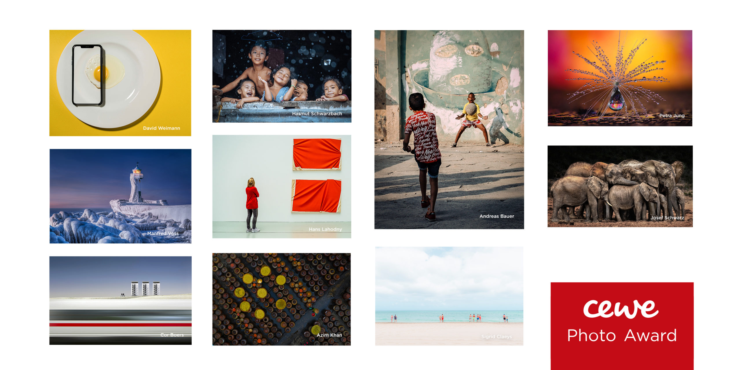 Największy konkurs fotograficzny na świecie CEWE Photo Award 2021 – wyjątkowa wystawa w centrum Wrocławia