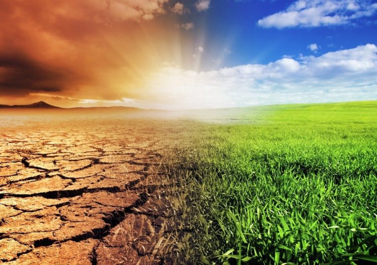 Fakty i mity o zmianach klimatu, nie daj się nabrać!